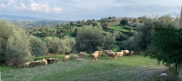 15 rooms House in Modica, Italy No. 235893 47