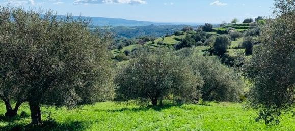 15 rooms House in Modica, Italy No. 235893 46