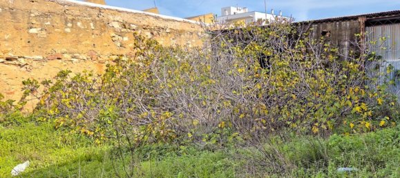  مستودع في Quelfes, Portugal 585متر مربع رقم 48576 31