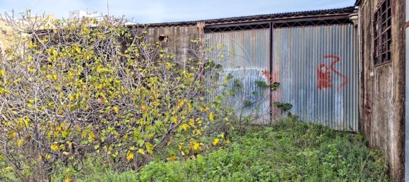  مستودع في Quelfes, Portugal 585متر مربع رقم 48576 30