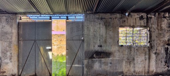  مستودع في Quelfes, Portugal 585متر مربع رقم 48576 22