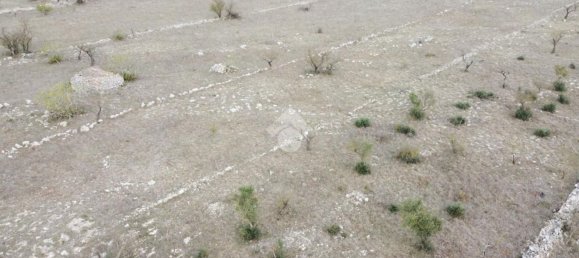 Terreno en Altamura, Italy 18000 m² No. 90144 6