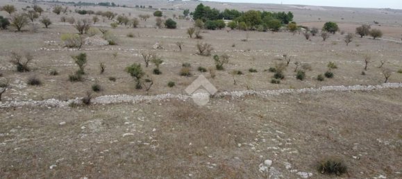Terreno en Altamura, Italy 18000 m² No. 90144 2