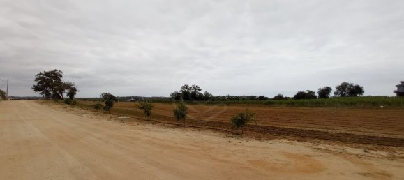 9 bedrooms House in Guia, Portugal No. 10069 8