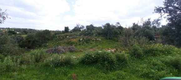 9 bedrooms House in Guia, Portugal No. 10069 9