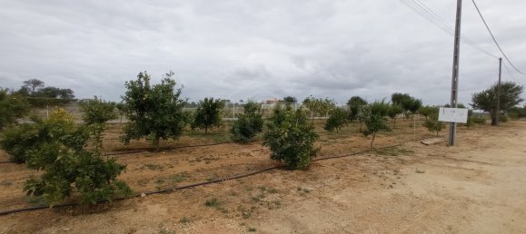 9 bedrooms House in Guia, Portugal No. 10069 10