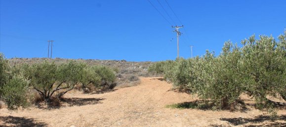 8000m² Hotel in Heraklion, Greece No. 7599 5