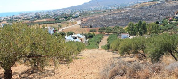 8000m² Hotel in Heraklion, Greece No. 7599 3