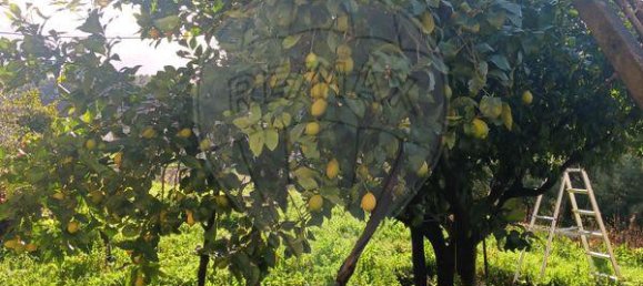 3 chambres Maison à Valpacos, Portugal No. 177746 19