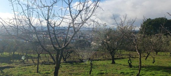 3 chambres Maison à Valpacos, Portugal No. 177746 23