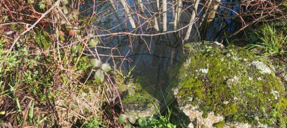 3 chambres Maison à Valpacos, Portugal No. 177746 22