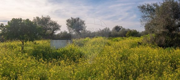 Casa de 3 dormitorios en Reguengos de Monsaraz, Portugal No. 24907 4