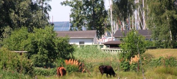 7-Zimmer Stadthaus in Vorpommern-Greifswald, Germany, Nr. 148495 23