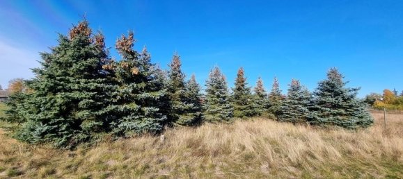 7-Zimmer Stadthaus in Vorpommern-Greifswald, Germany, Nr. 148495 18