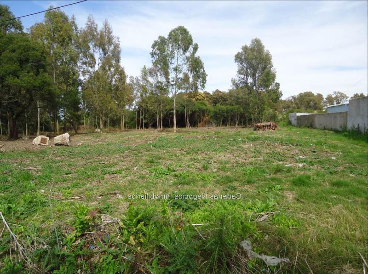  Land in Canelones, Uruguay No. 14244