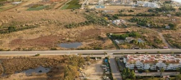 4131m² Land in Torreblanca, Spain No. 147909 13
