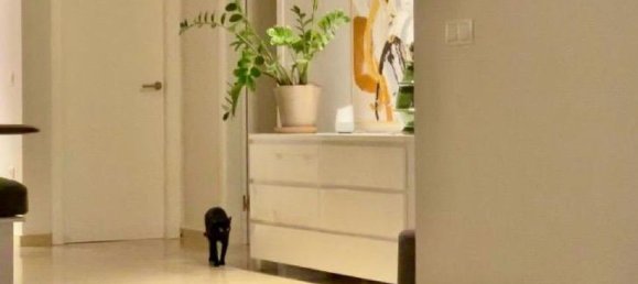 2 chambres Appartement à Malaga, Spain No. 189588 12