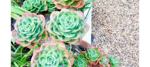 2 bedrooms House in Grandola, Portugal No. 60176 20