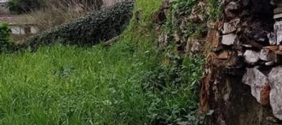 3 rooms House in Carrara, Italy No. 38901 22