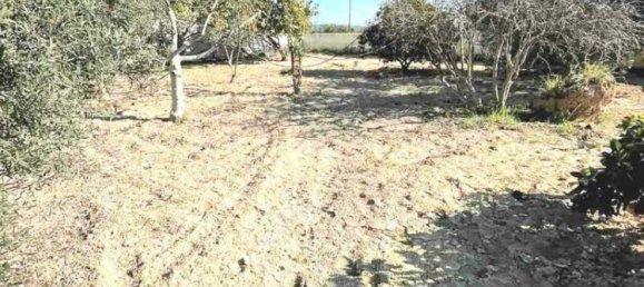 5 Schlafzimmer Villa in Anafotia, Cyprus, Nr. 20119 7