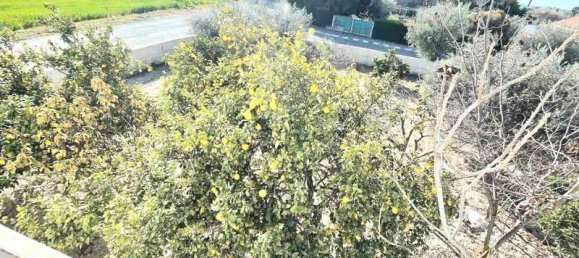 5 Schlafzimmer Villa in Anafotia, Cyprus, Nr. 20119 8