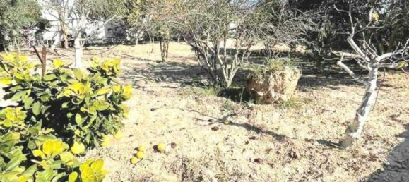 5 Schlafzimmer Villa in Anafotia, Cyprus, Nr. 20119 5