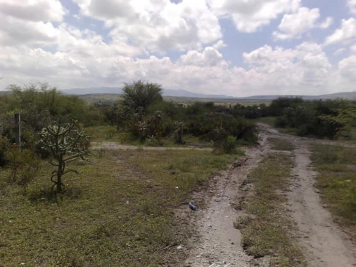 Studio in Guanajuato, Mexico No. 150105