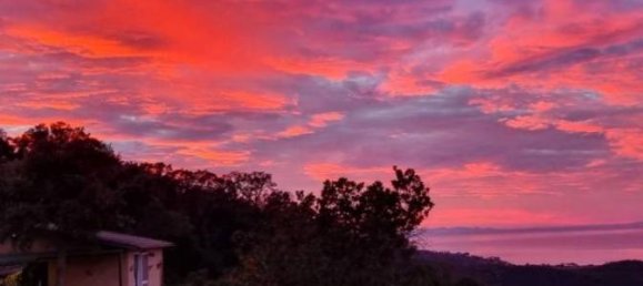 6-Zimmer Villa in Monte Argentario, Italy, Nr. 150854 4