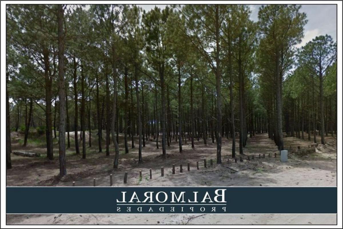 Terreno en Mar del Plata, Argentina No. 114782