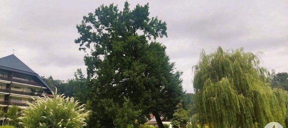 3 rooms Apartment in Gresten, Austria No. 201840 6