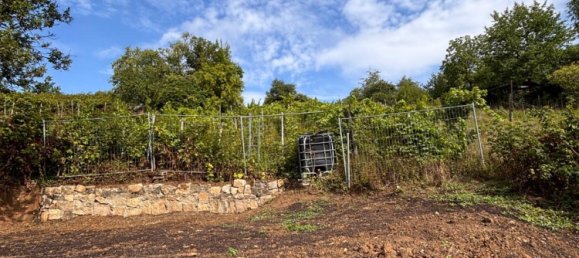 Terreno en Ludwigsburg, Germany No. 259464 18