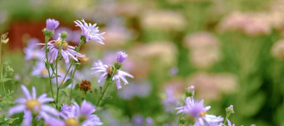 Moradia em banda T5 em Recklinghausen, Germany N.º 154160 8