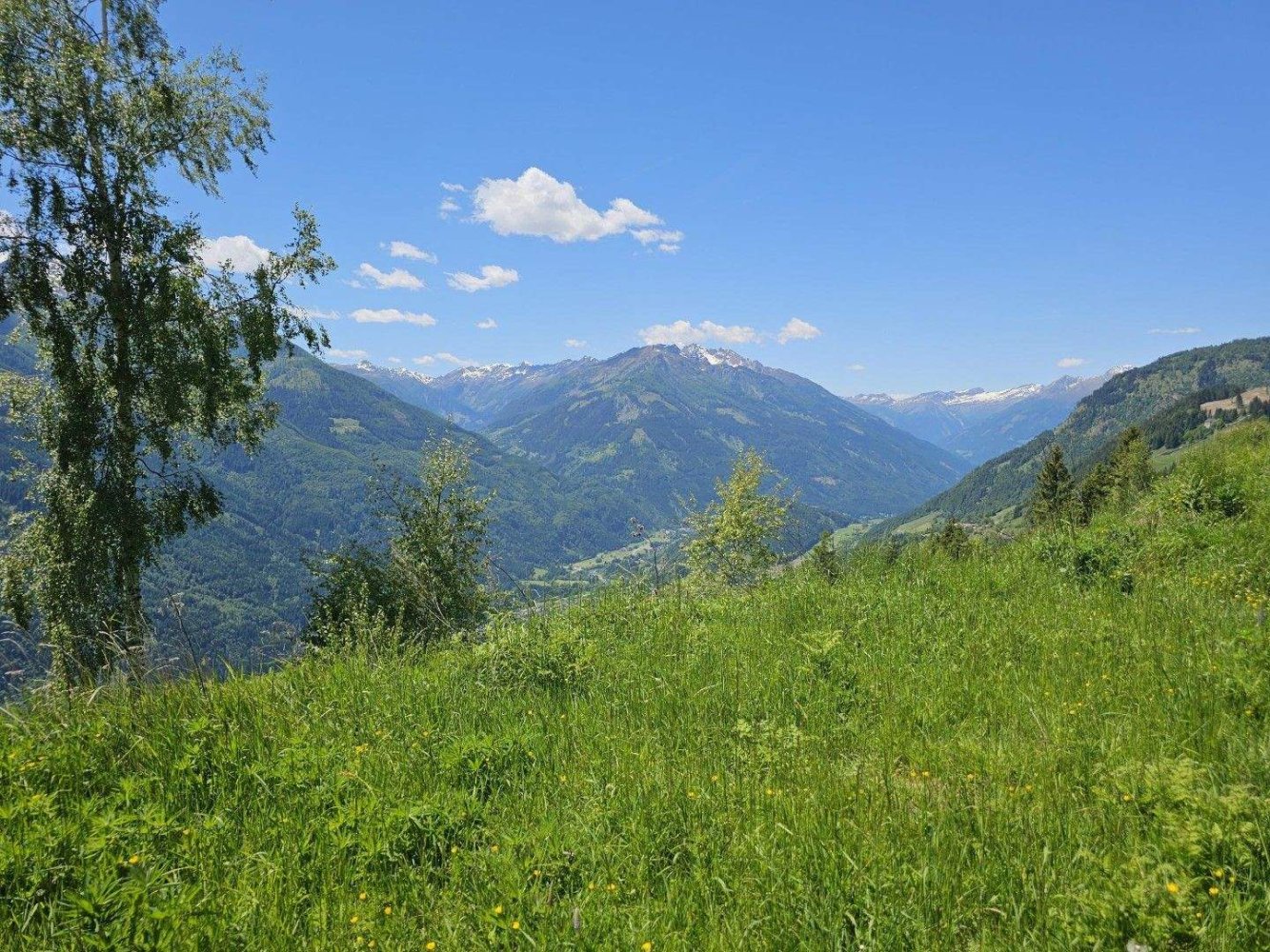  Land in Muhldorf, Austria No. 255411