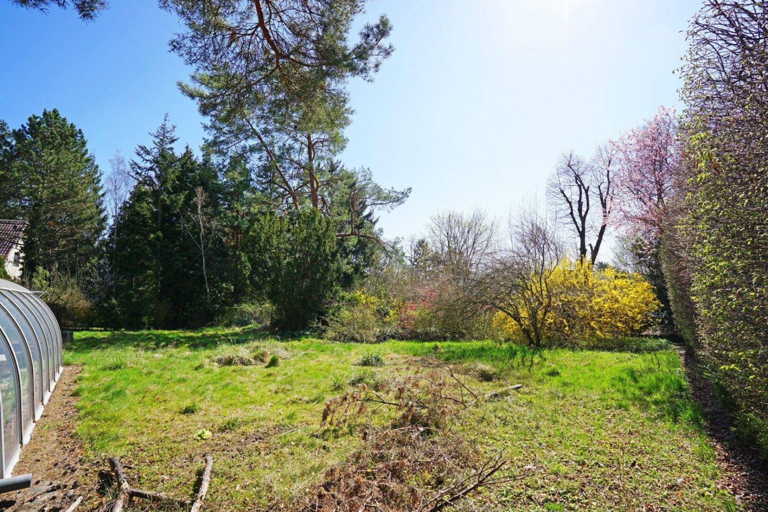 1514m² Land in Penzing, Austria No. 164709