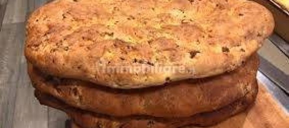 3 rooms Commercial property in Zola Predosa, Italy No. 320448 17