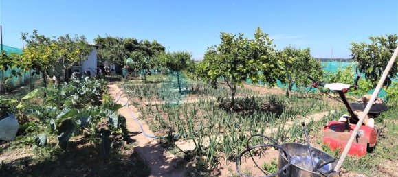 Lagerhaus in Ericeira, Portugal 1270m², Nr. 304082 13