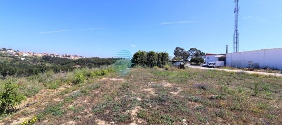 Lagerhaus in Ericeira, Portugal 1270m², Nr. 304082 10