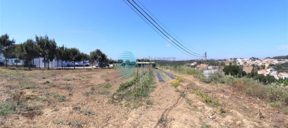 Lagerhaus in Ericeira, Portugal 1270m², Nr. 304082 5