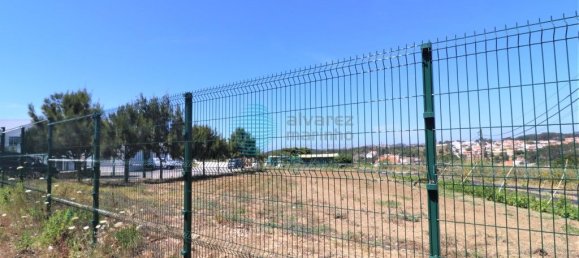 Lagerhaus in Ericeira, Portugal 1270m², Nr. 304082 7