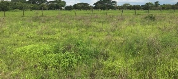 terreno en venta en Liberia, Guanacaste, Costa Rica № 1957 4