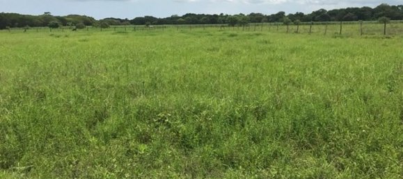 terreno en venta en Liberia, Guanacaste, Costa Rica № 1957 6