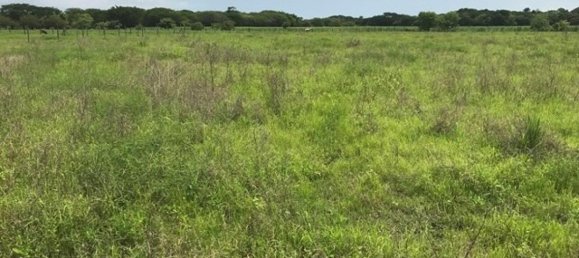 terreno en venta en Liberia, Guanacaste, Costa Rica № 1957 3