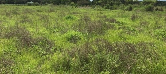 terreno en venta en Liberia, Guanacaste, Costa Rica № 1957 5
