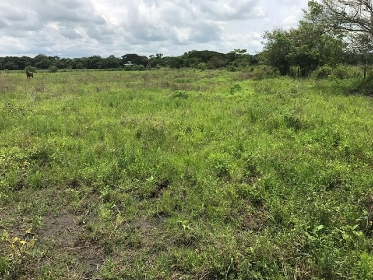 terreno en venta en Liberia, Guanacaste, Costa Rica № 1957