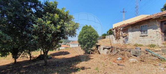 8 غرف نوم منزل في Guimaraes, Portugal رقم 35578 5