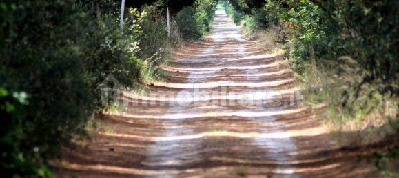 5 rooms Commercial property in Castiglione della Pescaia, Italy No. 210897 17