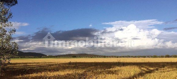 5 rooms Commercial property in Castiglione della Pescaia, Italy No. 210897 4