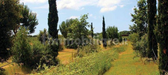 5 rooms Commercial property in Castiglione della Pescaia, Italy No. 210897 3