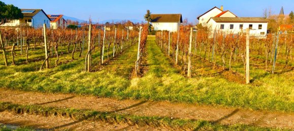  Land in Rhineland-Palatinate, Germany No. 313401 2