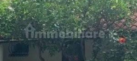 3 Schlafzimmer Haus in Oliveri, Italy, Nr. 51821 12